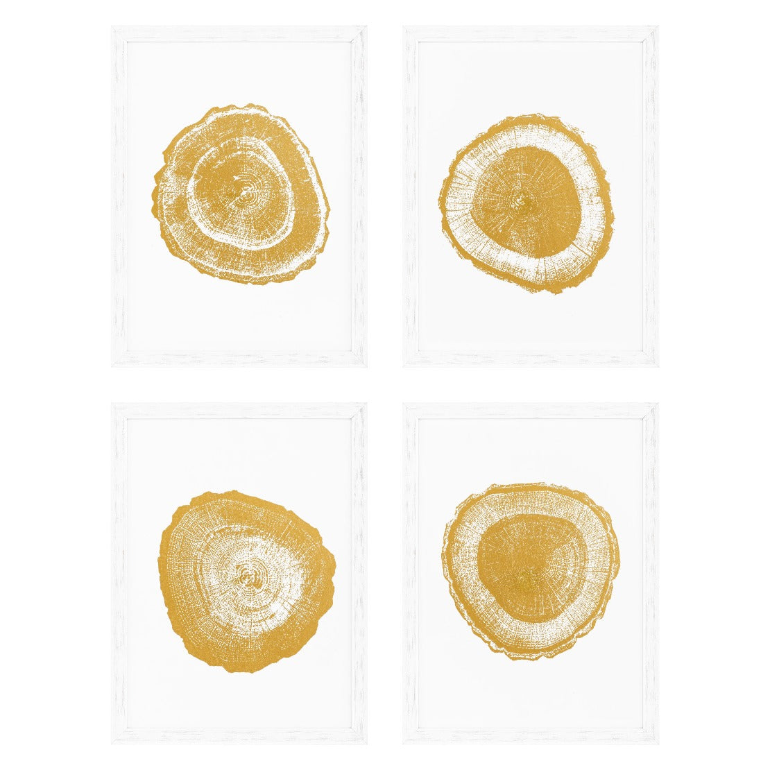 Prints Gold Foil Eichholtz Tree rings set of 4