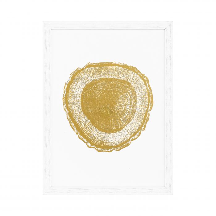 Prints Gold Foil Eichholtz Tree rings set of 4
