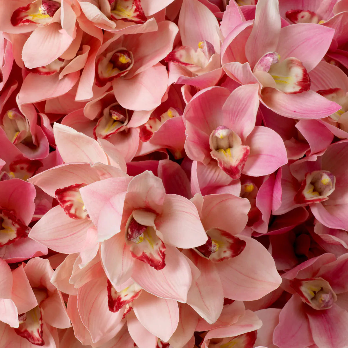 Eichholtz bouquet Cymbidium Orchids 36 pieces