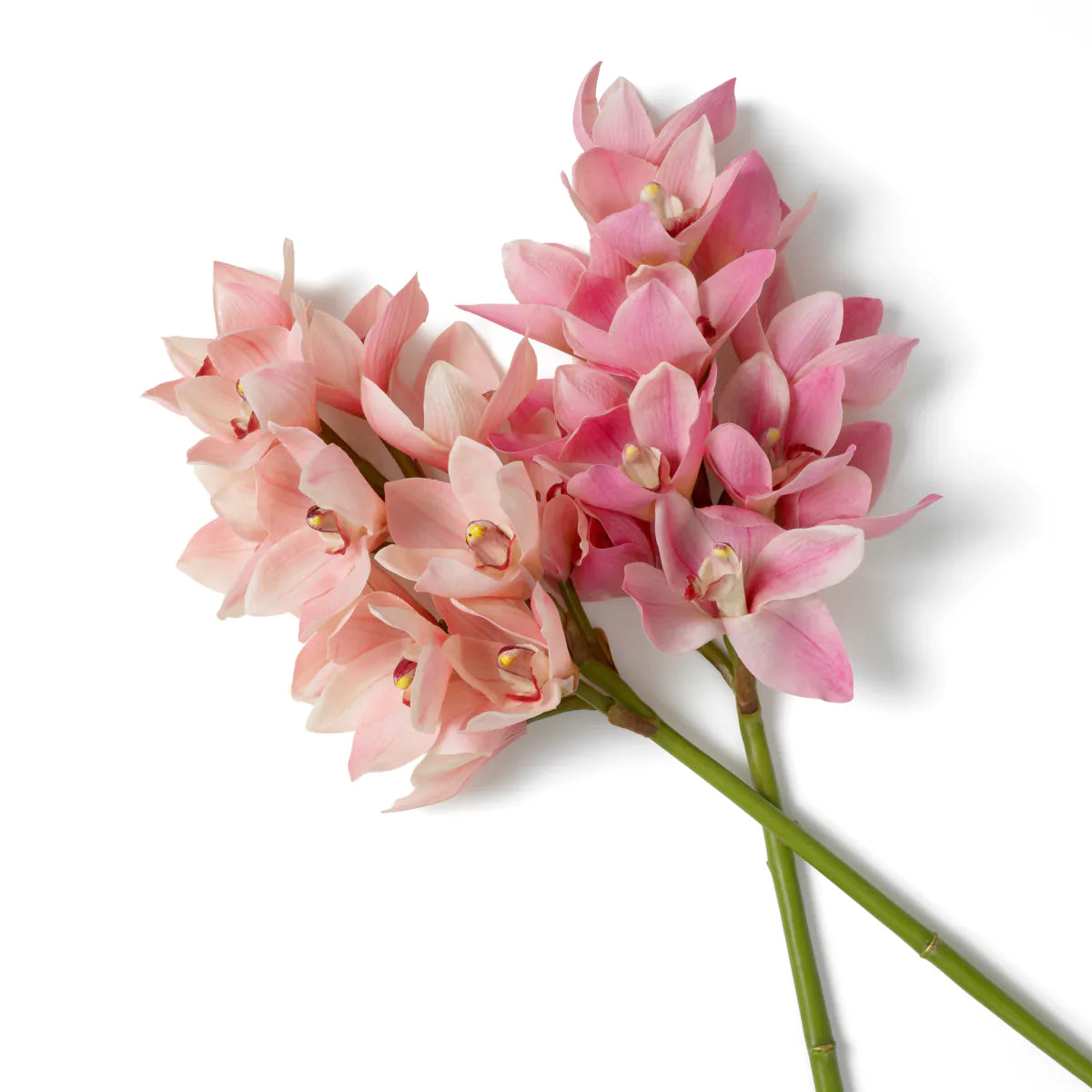 Eichholtz boeket Cymbidium Orchids 36 stuks