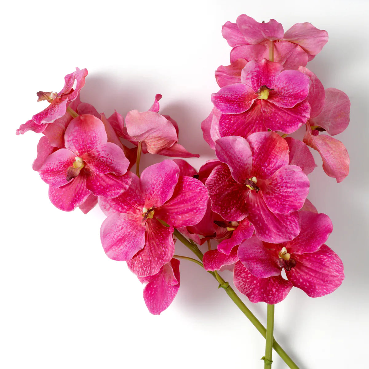 Eichholtz boeket Vanda Orchids 24 stuks roze