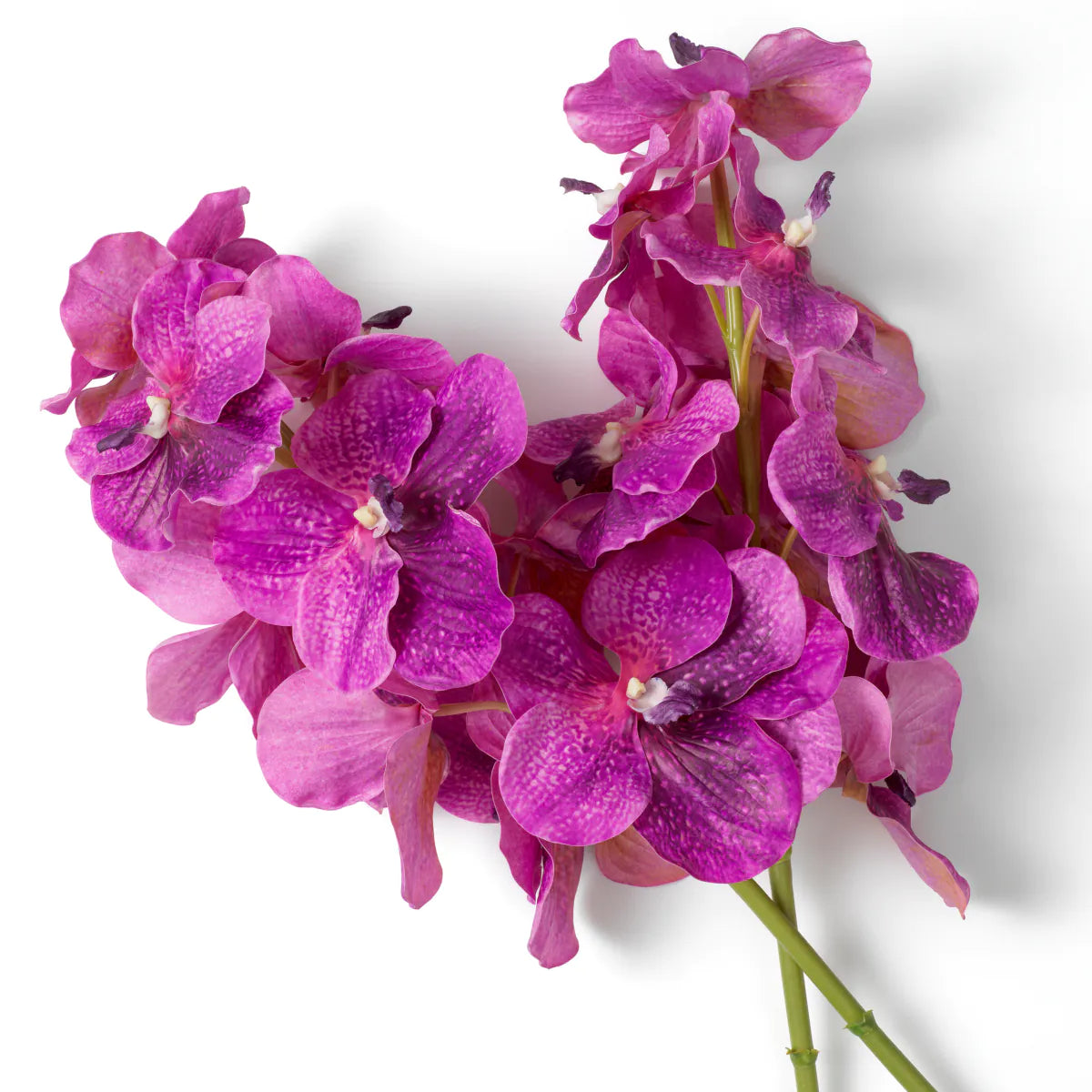 Eichholtz boeket Vanda Orchids 24 stuks magenta