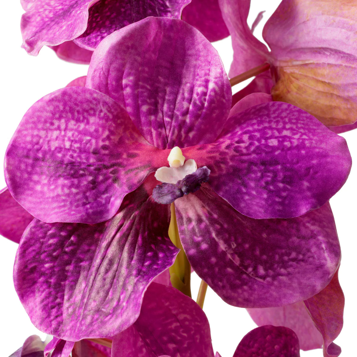 Eichholtz boeket Vanda Orchids 24 stuks magenta