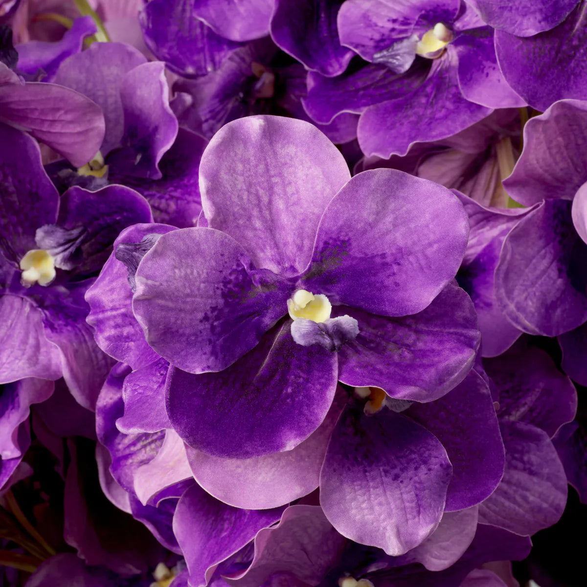 Eichholtz boeket Vanda Orchids 24 stuks paars