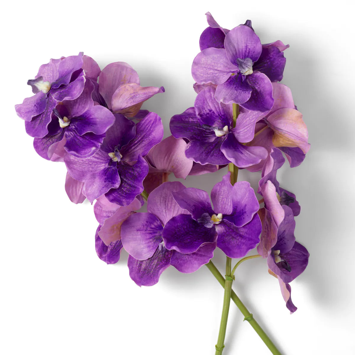 Eichholtz Bouquet Vanda Orchideen 24 Stück lila