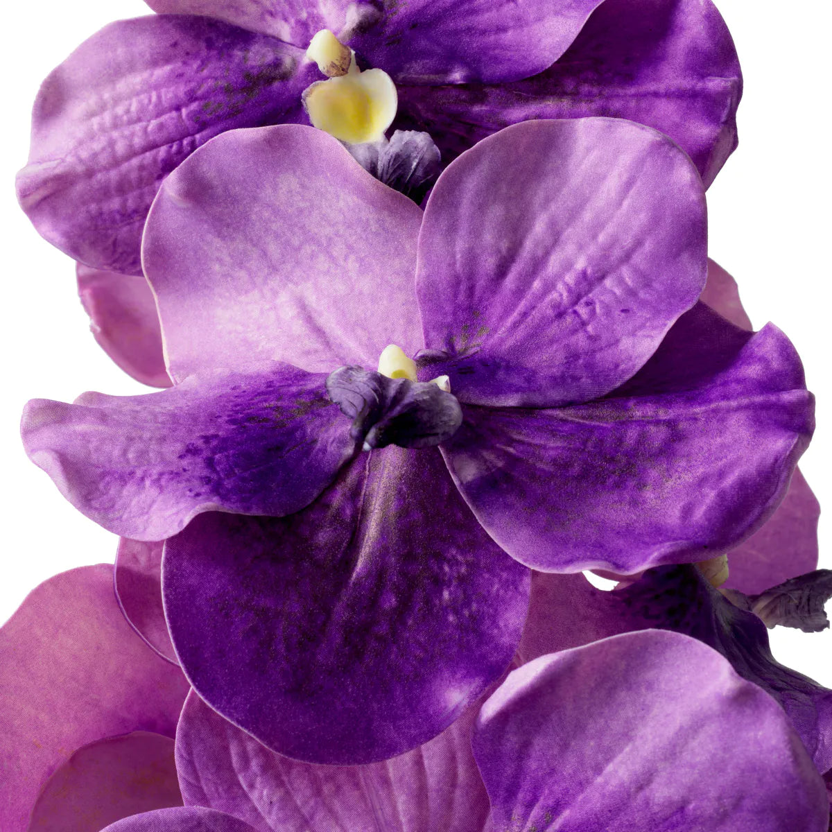 Eichholtz bouquet Vanda Orchids 24 pieces purple