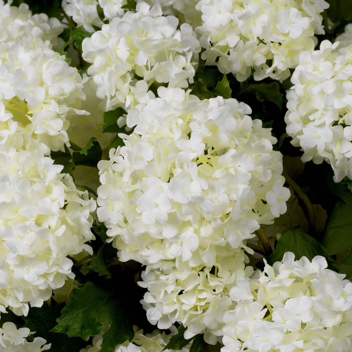 Eichholtz boeket Hydrangeas snowball 36 stuks wit