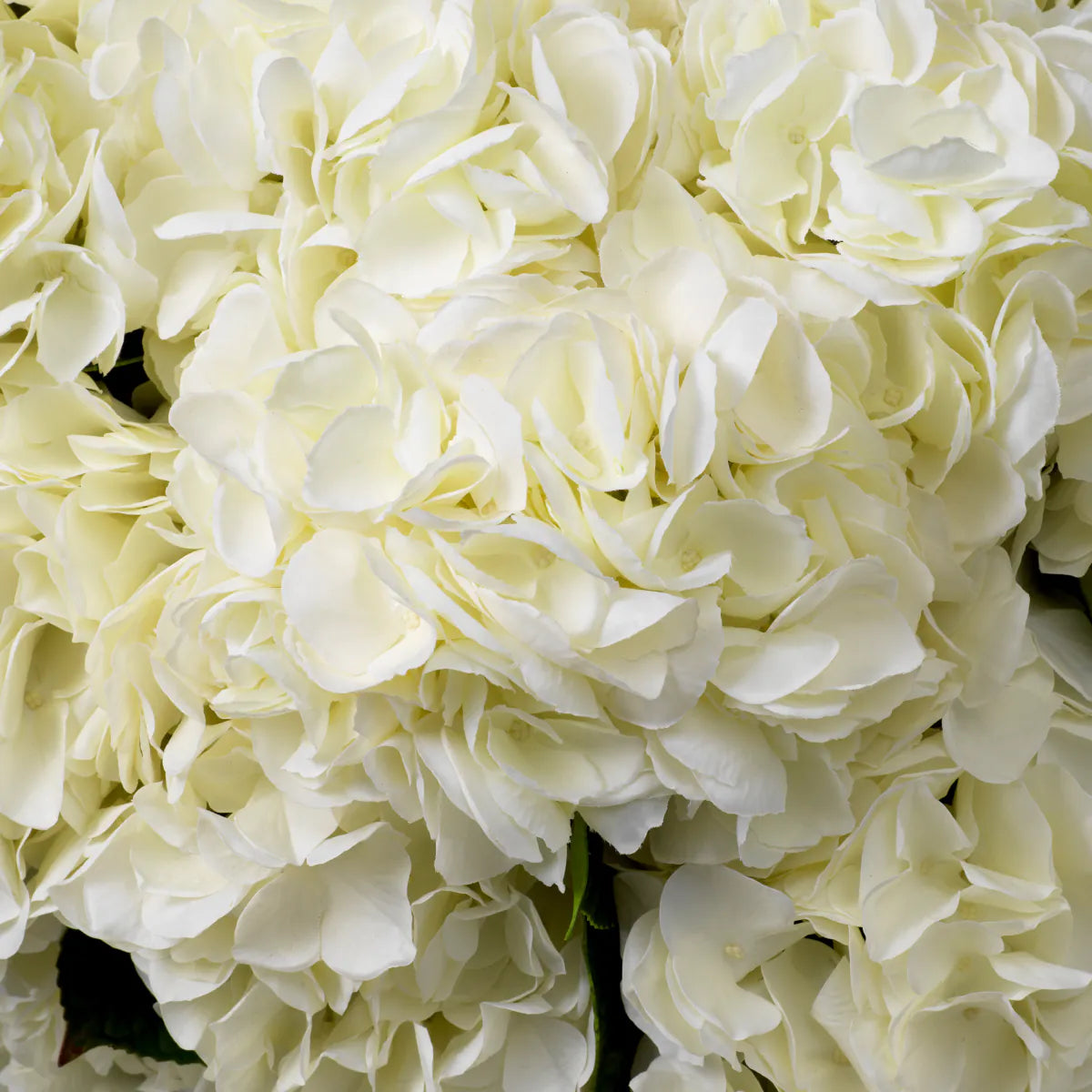 Eichholtz bouquet Hydrangeas 48 pieces white