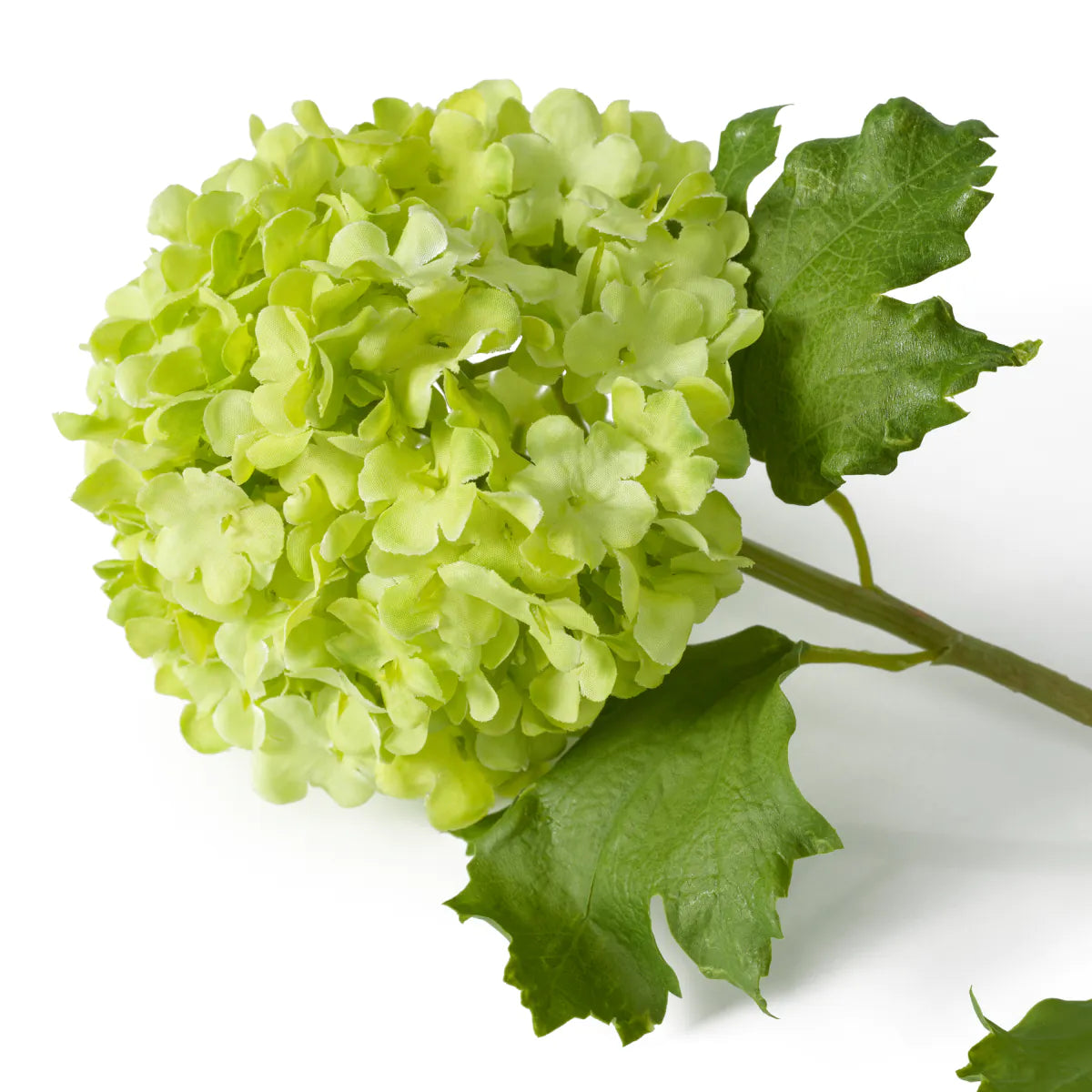 Eichholtz boeket Hydrangeas snowball 36 stuks groen