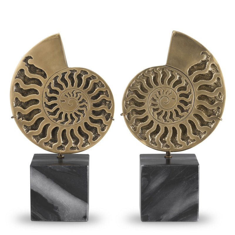 Object Eichholtz Ammonite set of 2