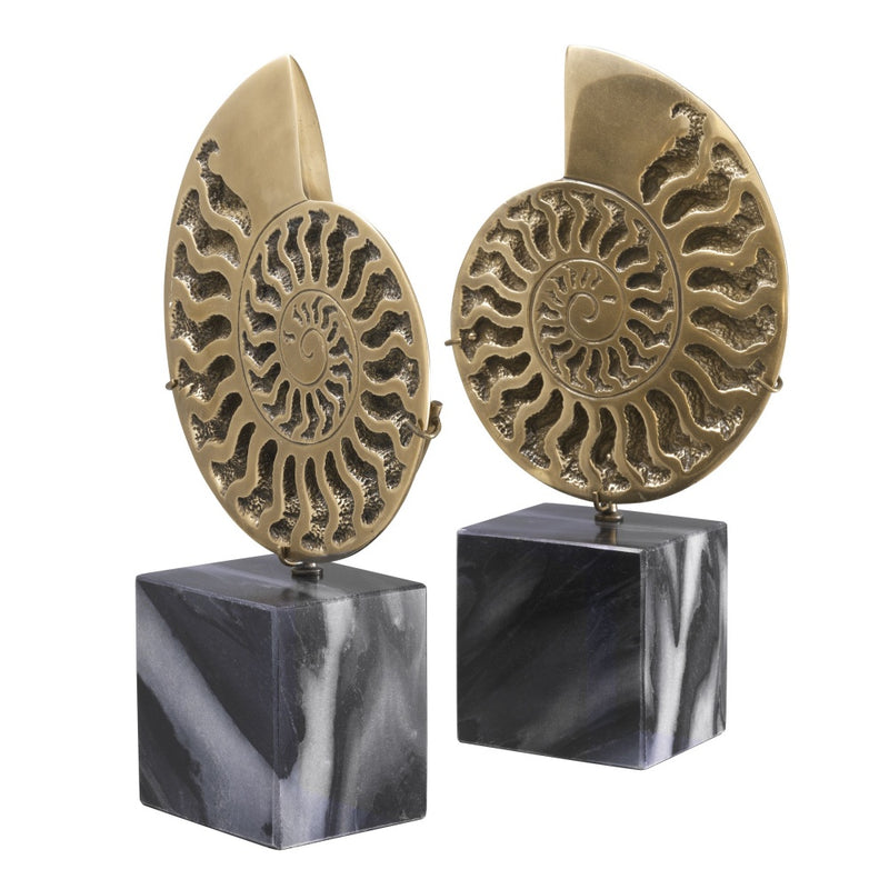 Object Eichholtz Ammonite set of 2