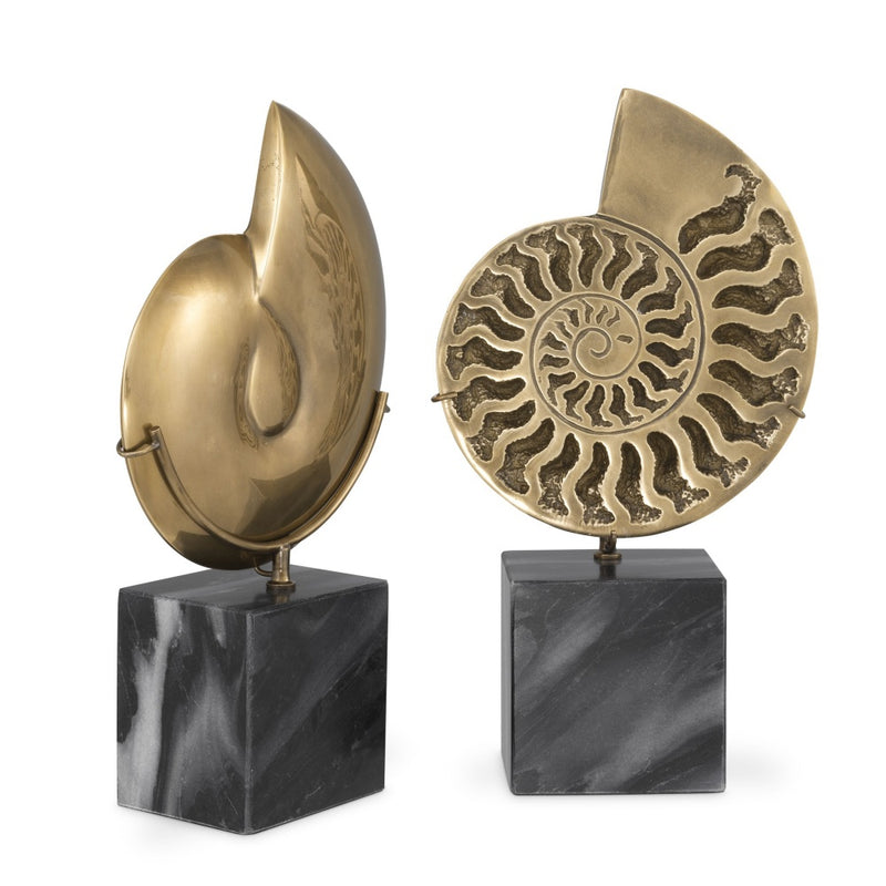 Object Eichholtz Ammonite set of 2