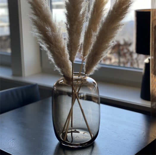 Vaas Bulb mokka XS