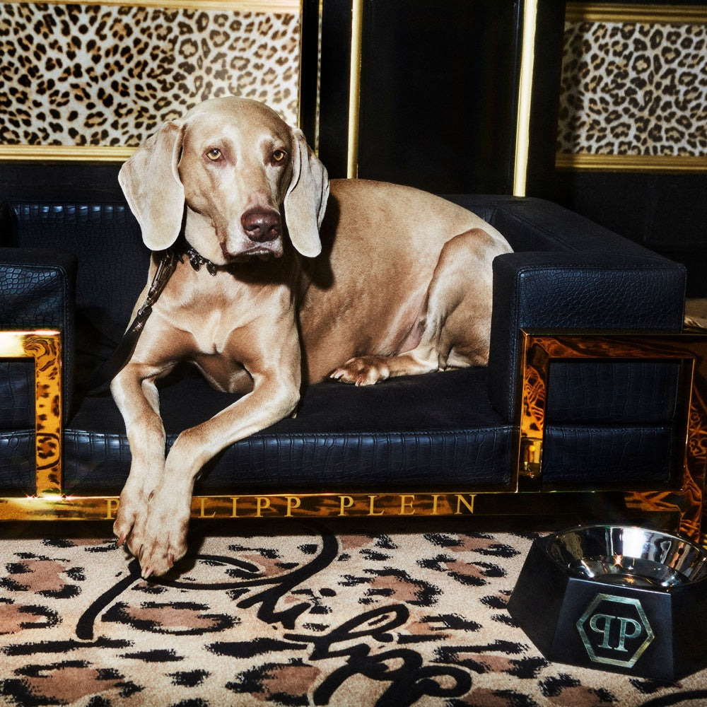 Great dane food bowl hotsell