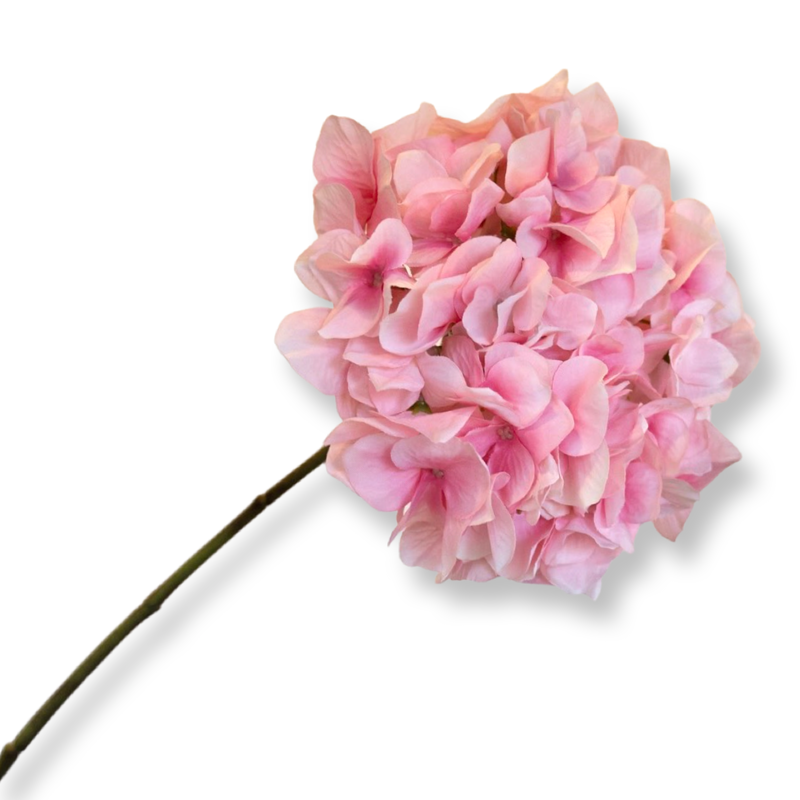 Zijde bloem tak Hydrangea Pink