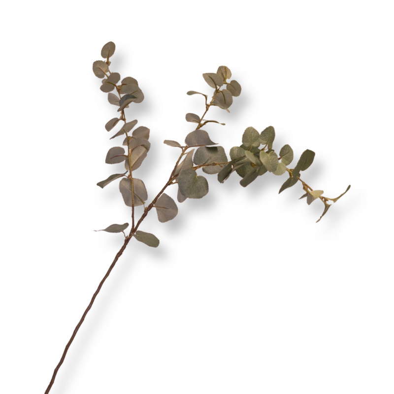 Flor de seda rama Eucalyptus coars
